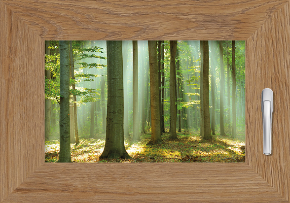 Conti® woodec